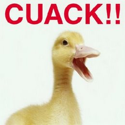 cuack1