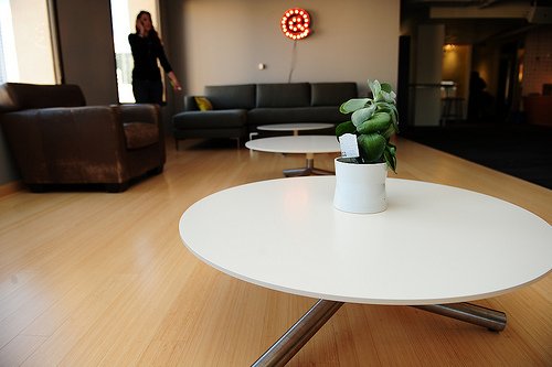 twitter-offices