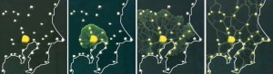 Ameba Physarum y el transporte en Tokio