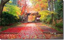 Colorful Autumn scene in Komyo-Ji