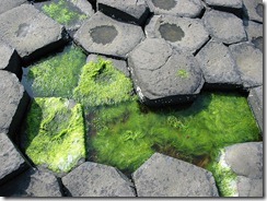  The Giant’s Causeway