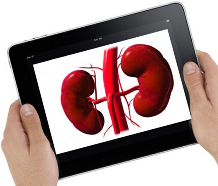 boy-sells-one-of-his-kidney-for-an-ipad2