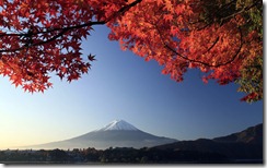 Mt. Fuji and autumn-colored maple tree