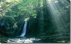 赤目四十八滝 (Akame Shijyuhachi Waterfall, Japan)