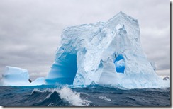 Blue iceberg dramatically sculpted by waves and melting action accelerated by global warming and climate change, and Southern giant petrel in flight, South Georgia Island, Southern Ocean, Antarctic Convergence, Polar Front