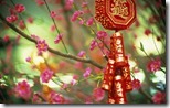 新年吉祥饰物，中国 (New Year ornament saying “bring in health and riches”, China)