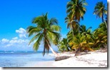 Saona Island beach, near La Altagracia Province, Dominican Republic