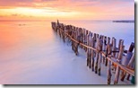 Wooden posts in Caribbean Sea, Isla Mujeres, Quintana Roo, Mexico