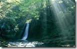 赤目四十八滝 (Akame Shijyuhachi Waterfall, Japan)