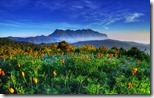 Doi Luang Chiang Dao, Chiang Dao Wildlife Reserve, Chiang Mai Province, Thailand