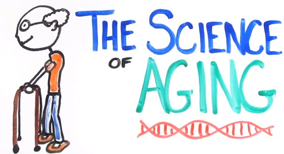 the science behing aging - unpocogeek.com