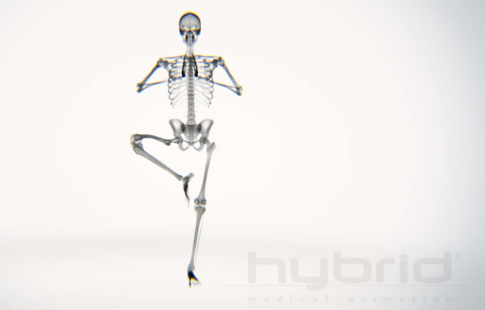 X-ray Body in Motion - Yoga - unpocogeek.com