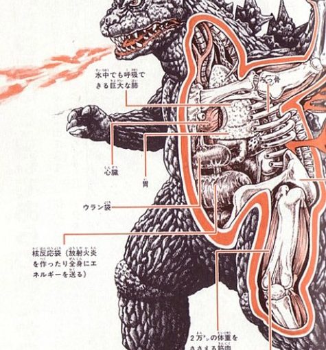Anatomía de monstruos japoneses
