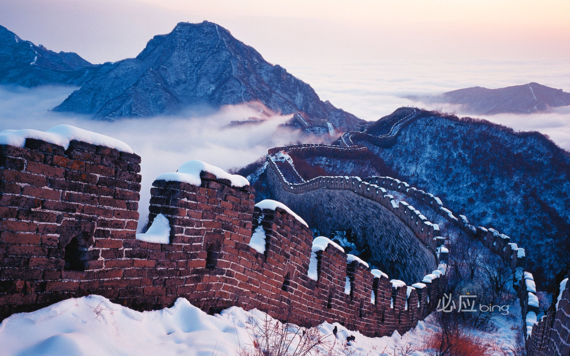 Lo mejor de bing china archivos un poco geek