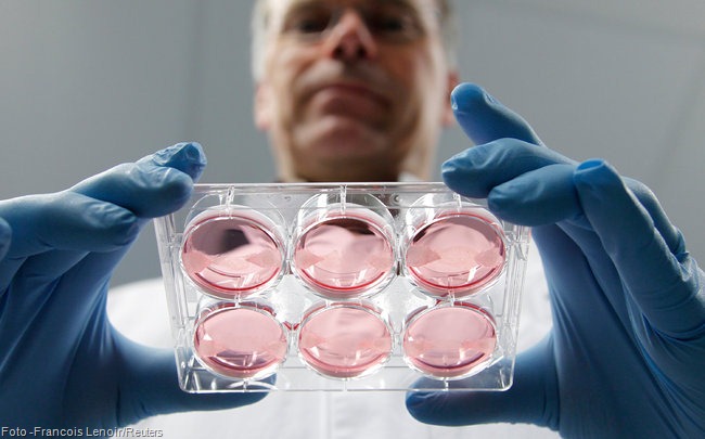 Carne creada en un laboratorio