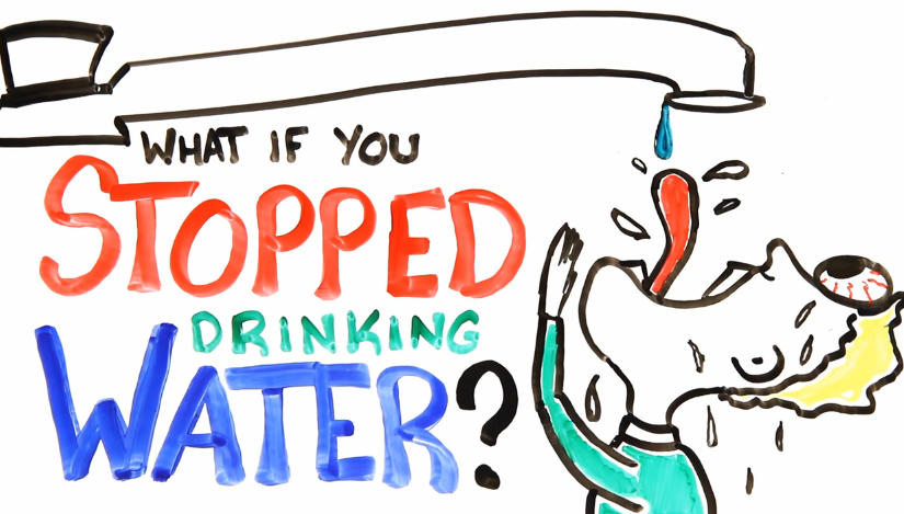 ¿Qué pasaría si dejaramos de tomar agua?
