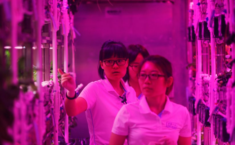 China comienza sus experimentos de largas estadías en el espacio y otros mundos