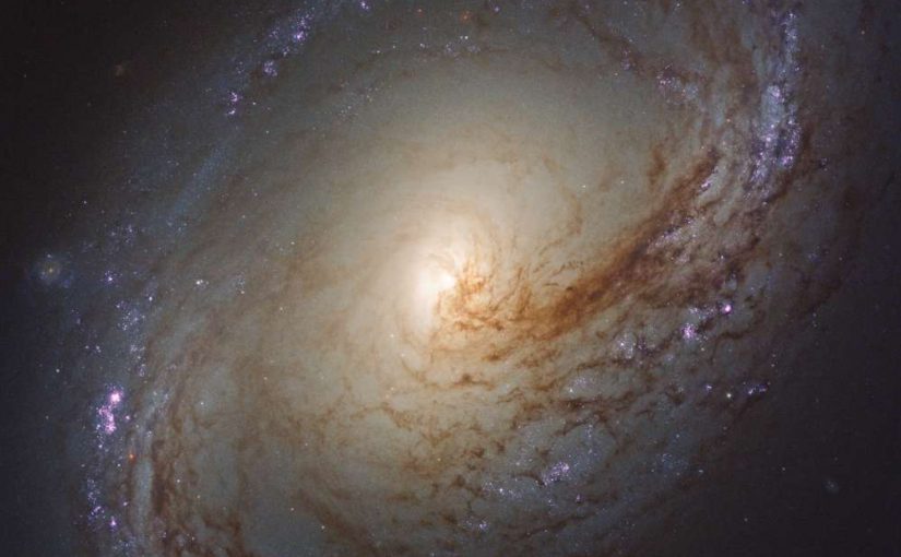 Esta galaxia espiral, a 35 millones de años luz de distancia, se llama NGC 3368. NASA / ESA / LEGUS