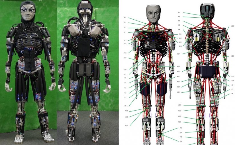 El humanoide con músculos casi humanos y que puede sudar